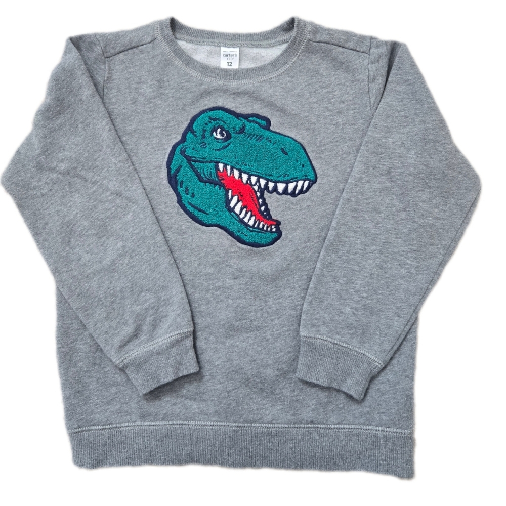 Carters dinosaur crew neck long-sleeved sweater